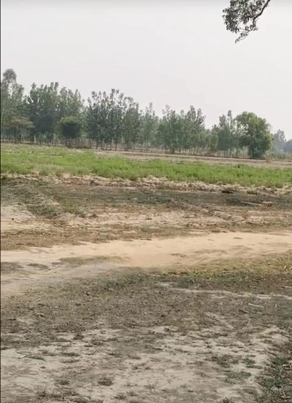 Chamroda, Kishangarh Bas, Khairthal-Tijara, Rajasthan, India