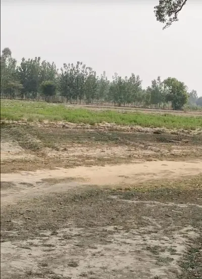 Chamroda, Kishangarh Bas, Khairthal-Tijara, Rajasthan, India preview 2