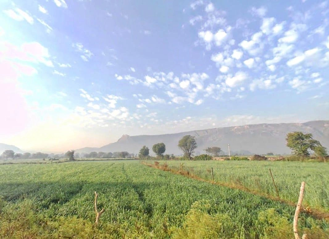 HF5F+2R8, Rundh Binak, Rajasthan 301001, India