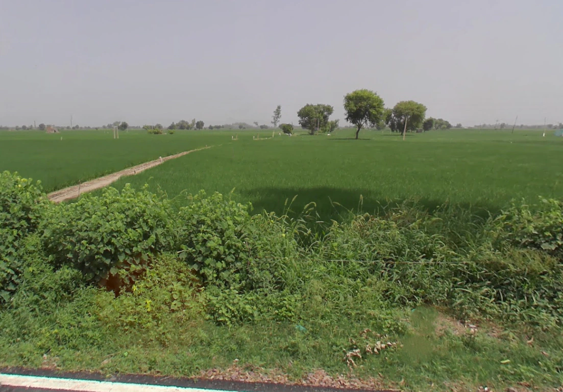 Hathwala, Haryana 132115, India