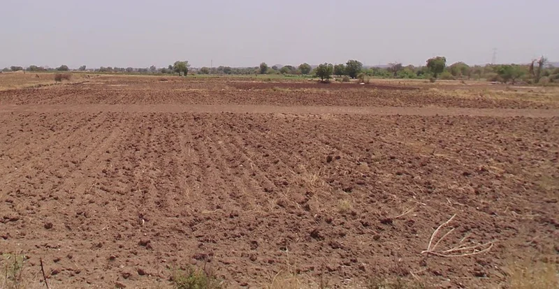 Shahpura, Madhya Pradesh 481990, India preview 2