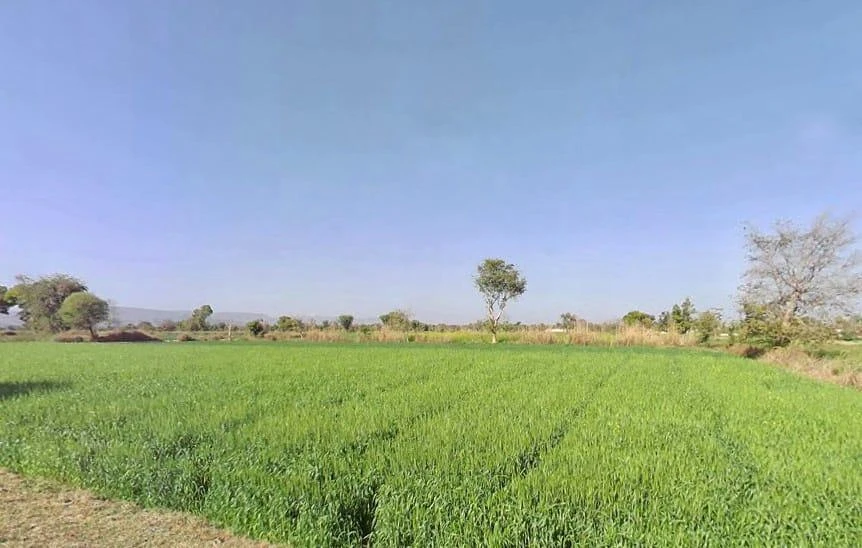 9X9C+2CJ, Barodakan, Rajasthan 321607, India