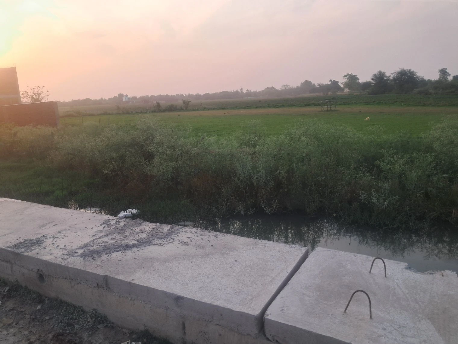 Q5MF+WP6, Kosi Parikrama Rd, Amanigunj, Faizabad, Uttar Pradesh 224001, India