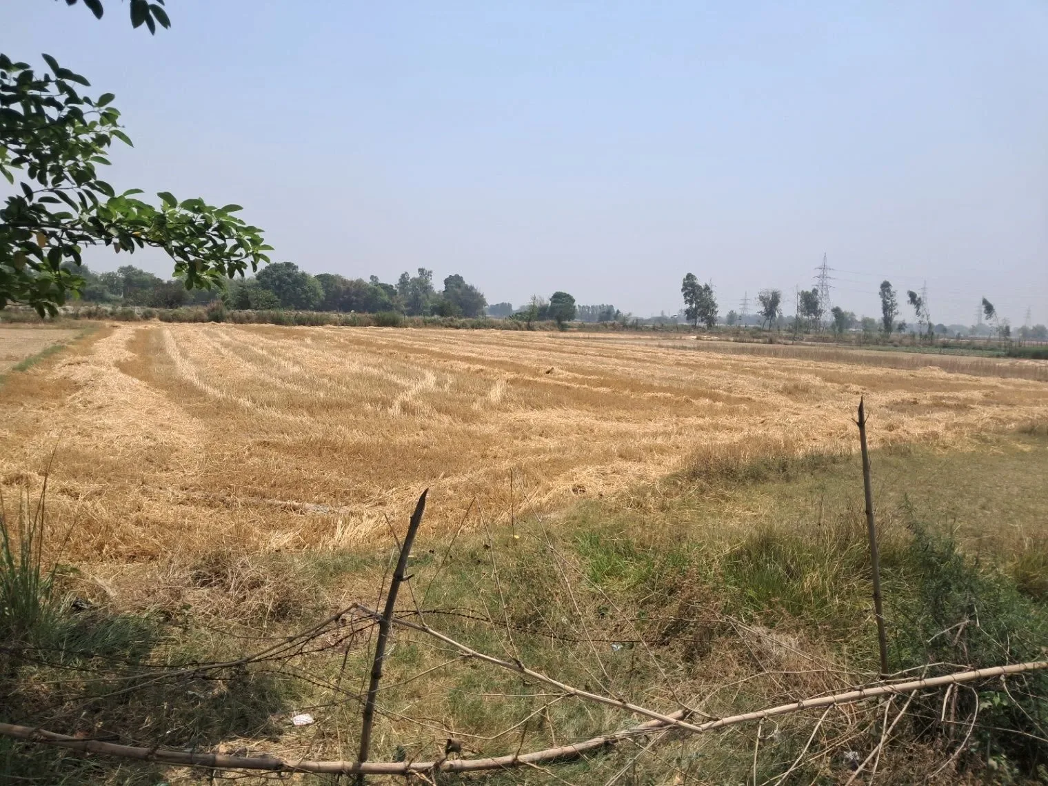 P5CP+C9P, ददेरा, फैजाबाद, मलिक पुर, उत्तर प्रदेश 224133, India