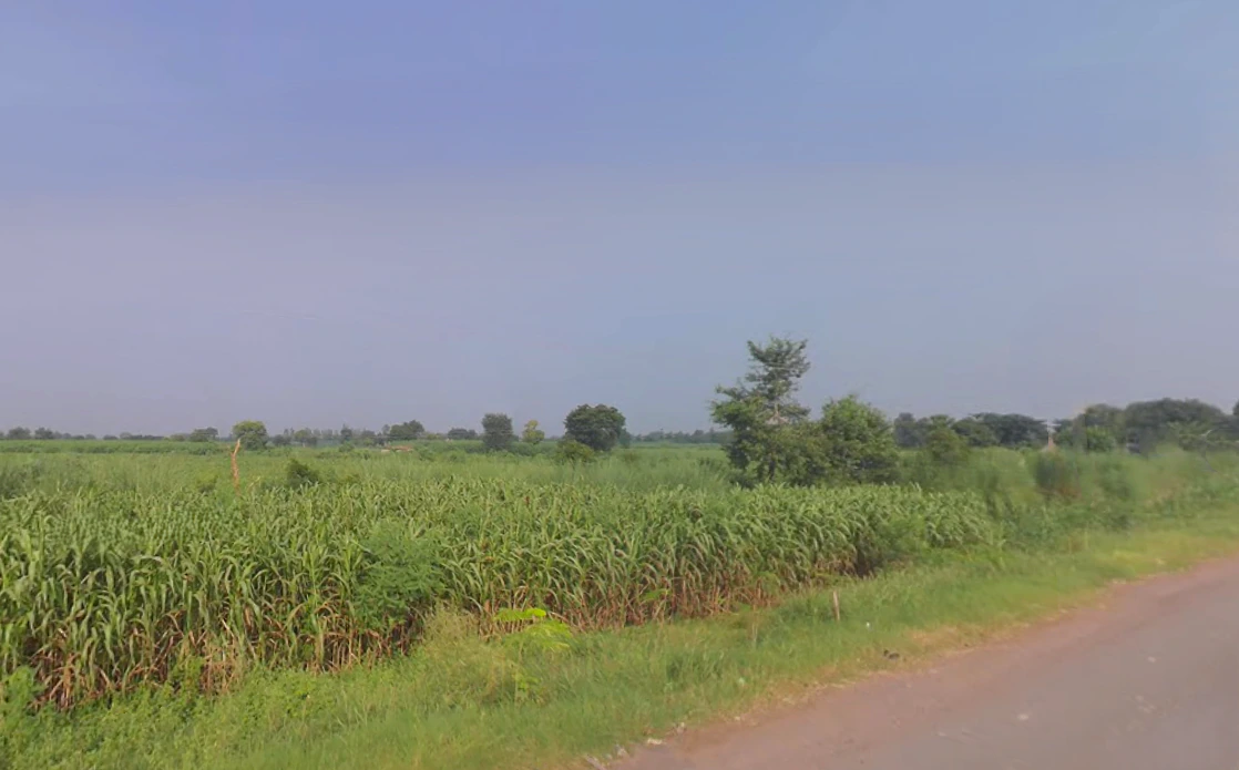 X8CR+FWC, NH 19, Khatela Sarai, Haryana 121105, India