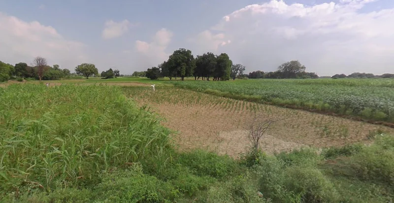 Nipaniya Jat, Madhya Pradesh, India preview 3