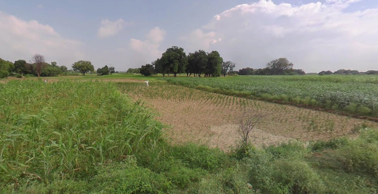 Nipaniya Jat, Madhya Pradesh, India