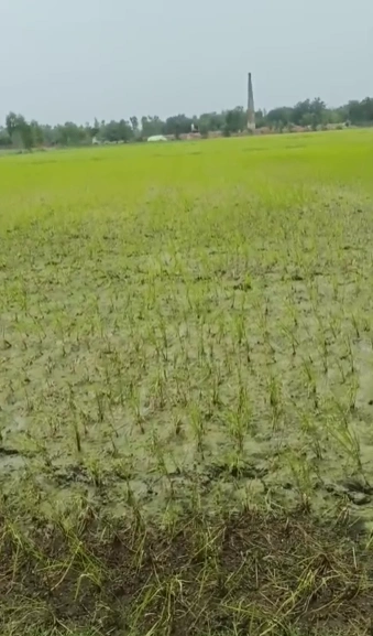 Raipura Kalan, Mahoba, Uttar Pradesh, India preview 2