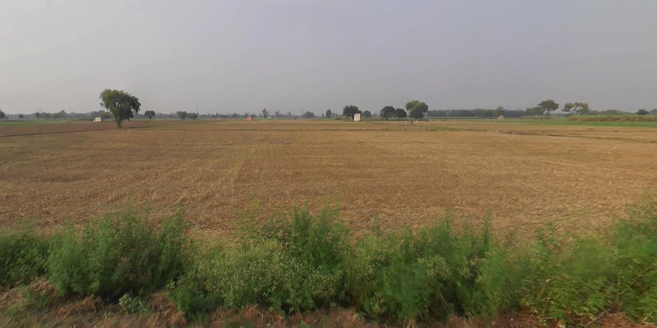 Nigoha, Uttar Pradesh 226302, India