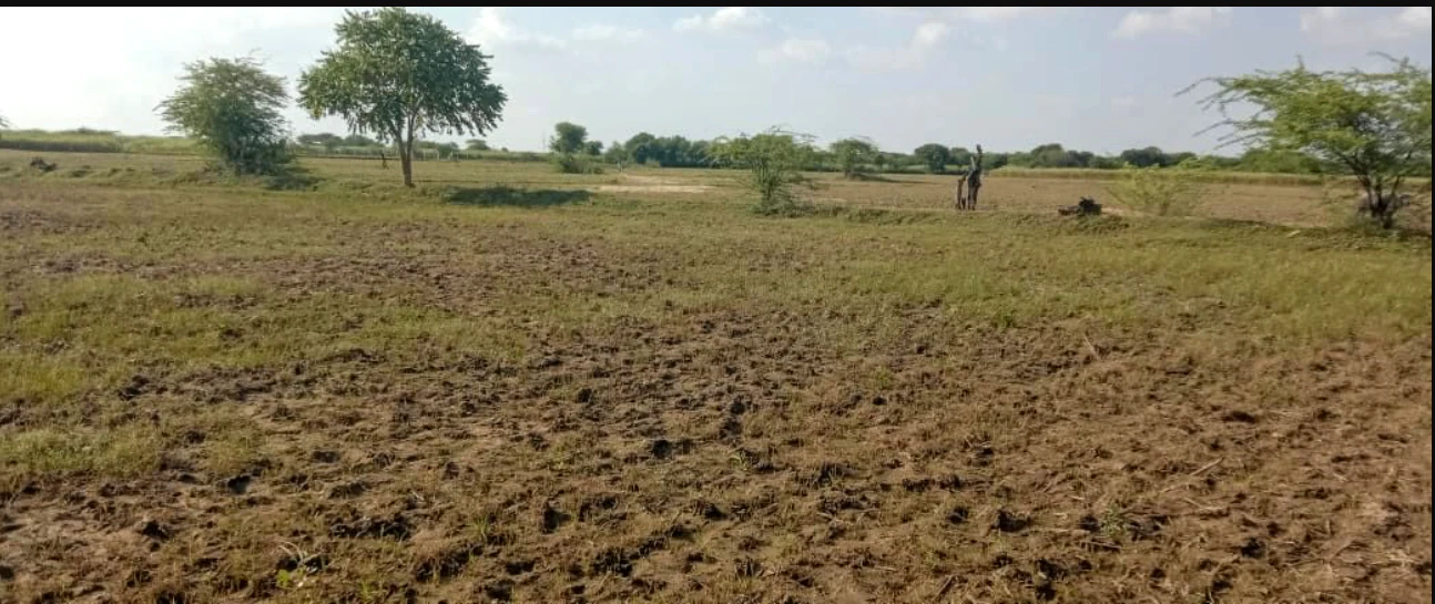 35VV+G59, Banda, Madhya Pradesh 470335, India
