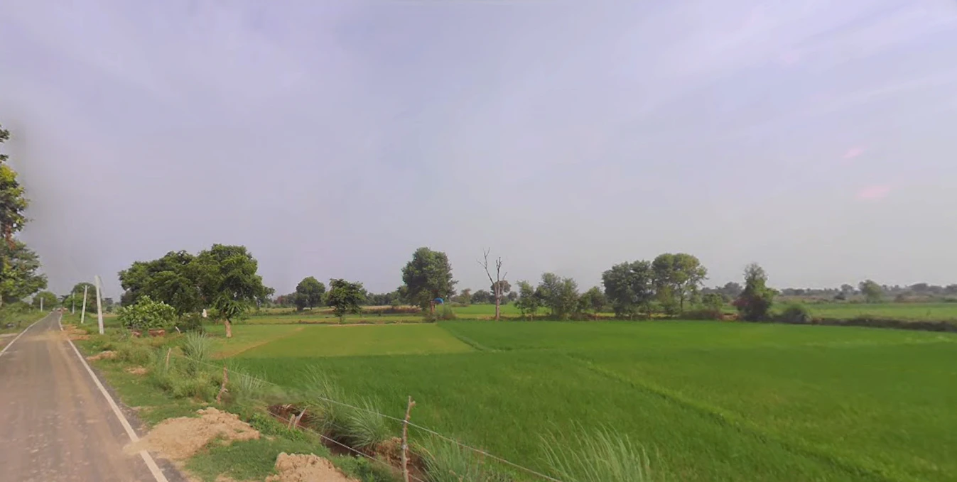 Suar, Uttar Pradesh 244924, India