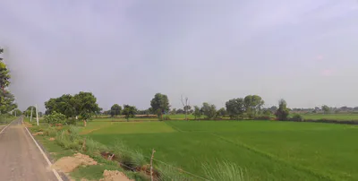 Suar, Uttar Pradesh 244924, India preview 2