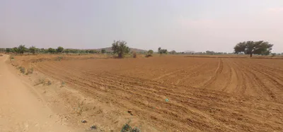 Ghimana, Haryana 126102, India preview 2