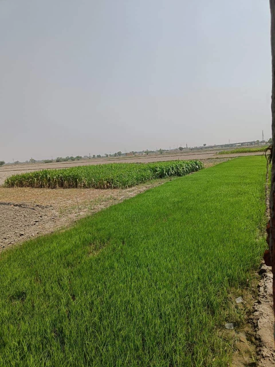 Narnaund, Haryana 125039, India preview 3