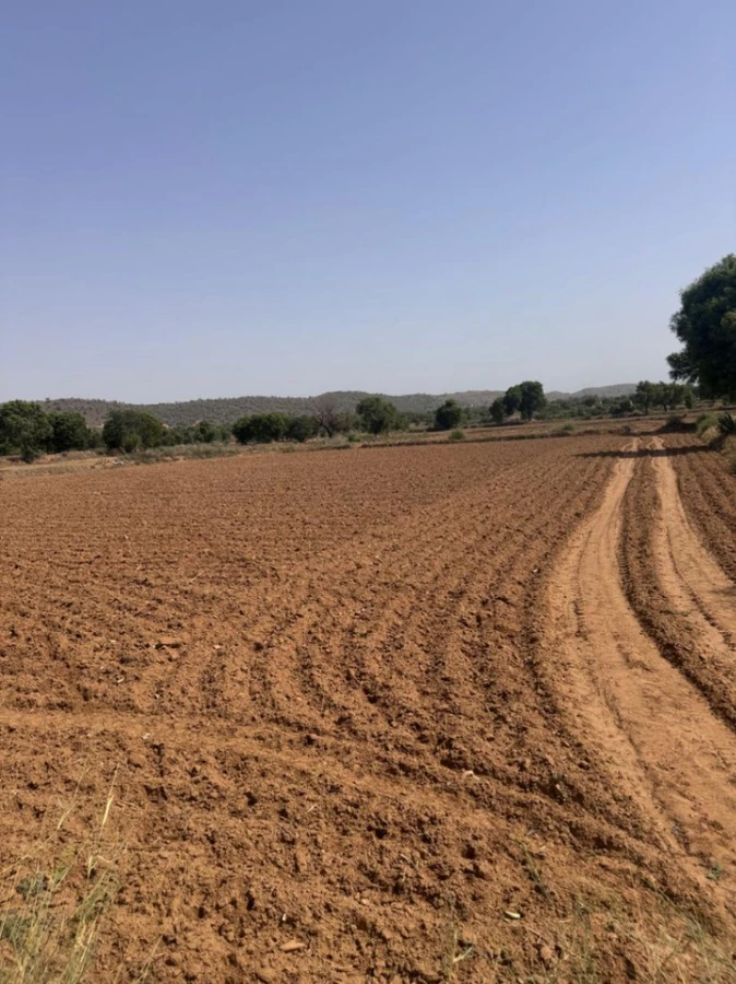 Gandoora, Rajasthan, India