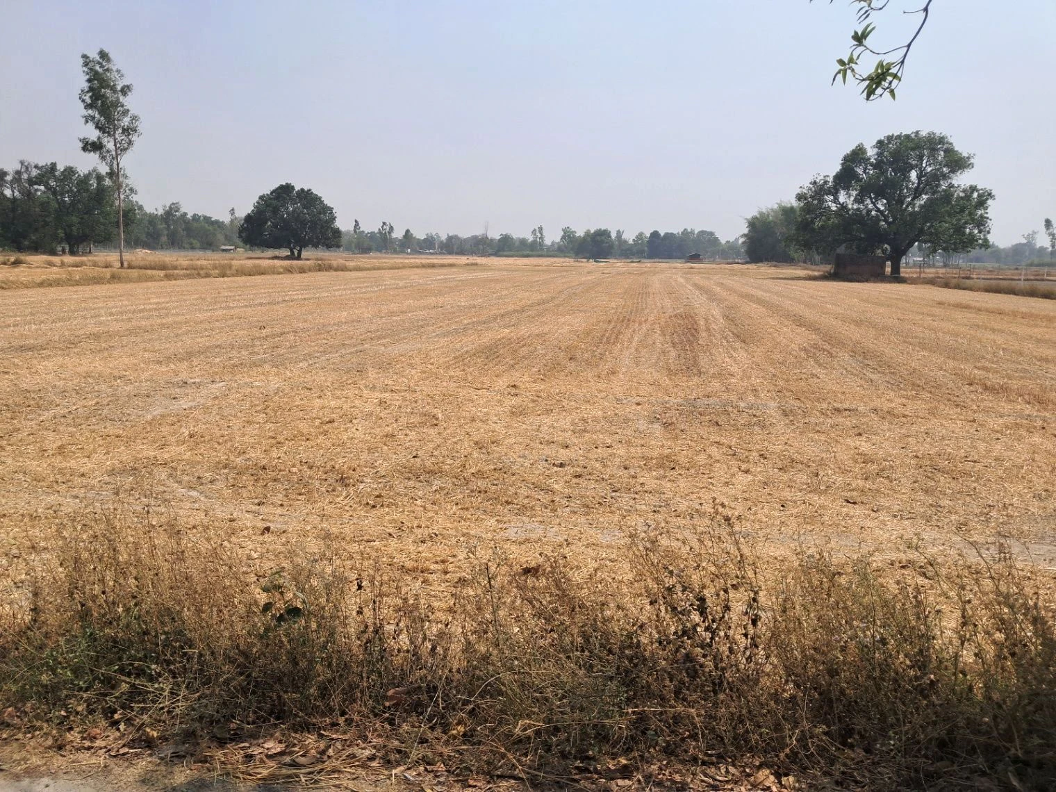P3FF+VC Sariyawan, Uttar Pradesh, India