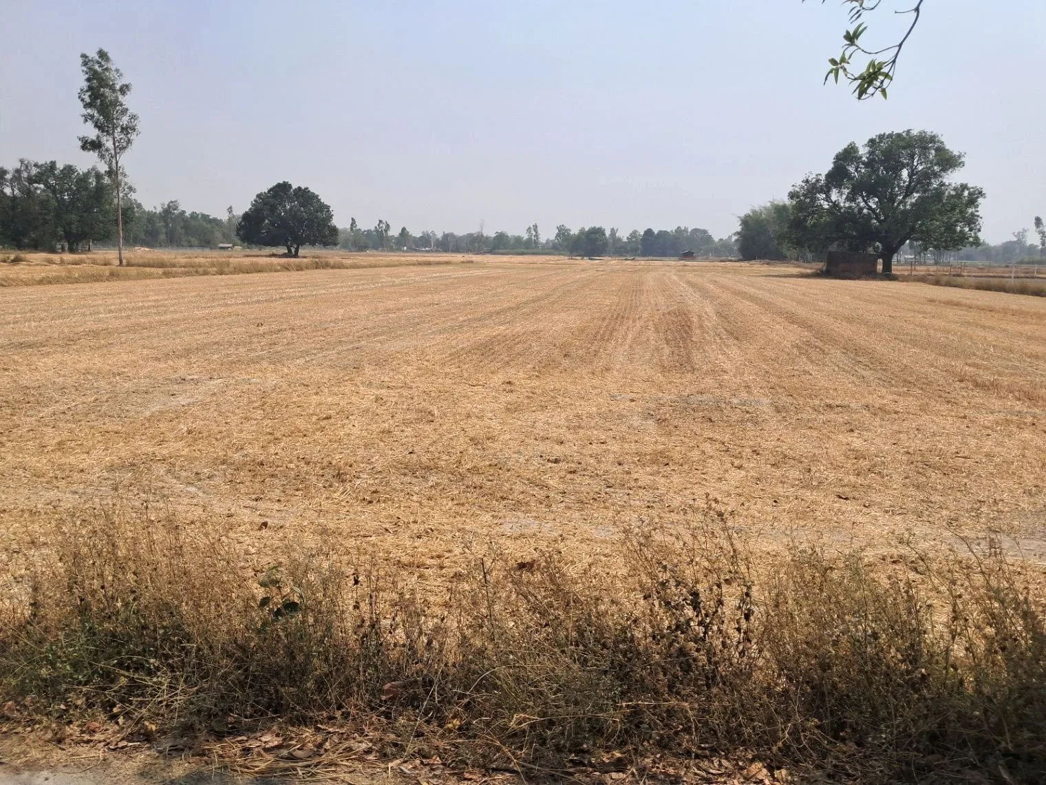 P3FF+VC Sariyawan, Uttar Pradesh, India