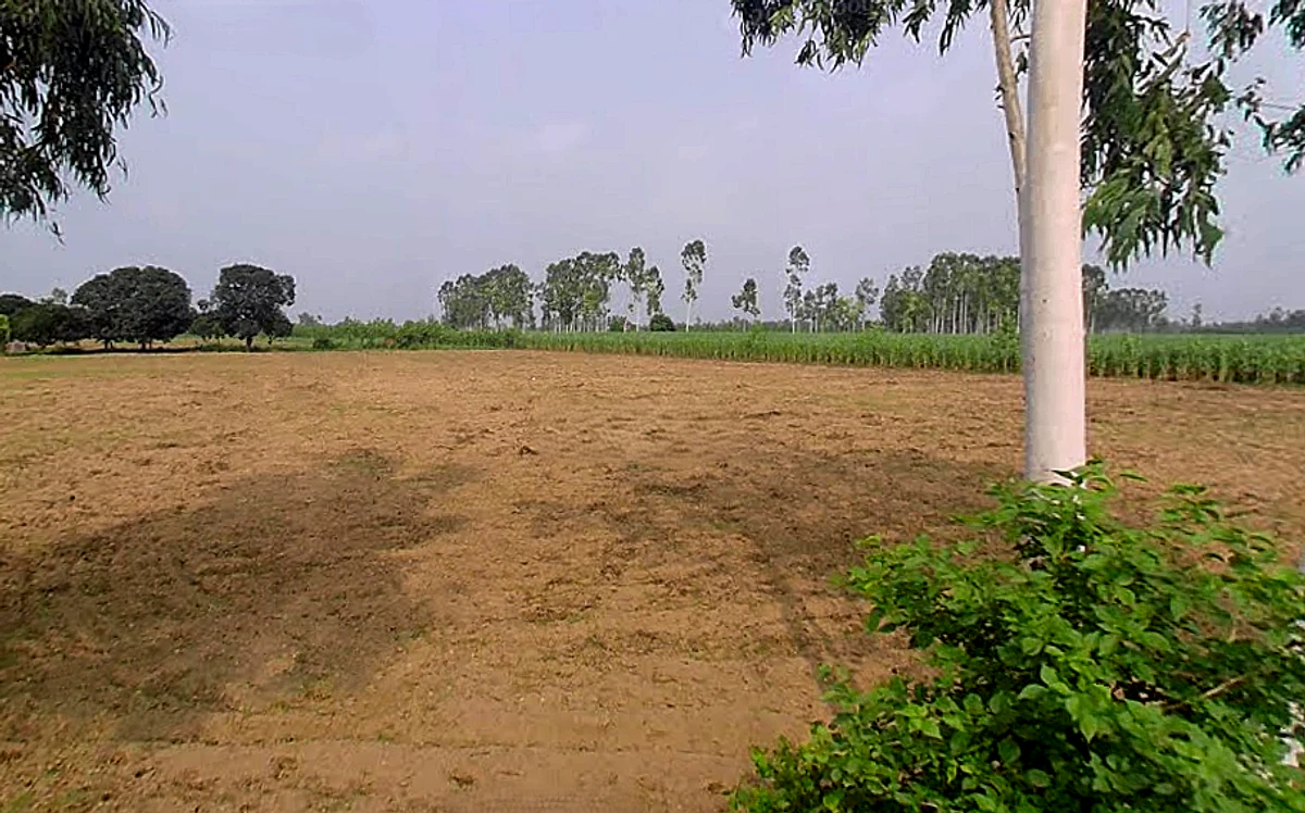 Jansath, Uttar Pradesh 251314, India