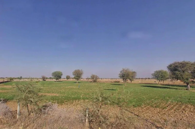 MMJP+9C Renwal Manji, Rajasthan, India preview 2