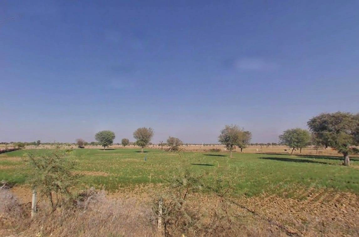 MMJP+9C Renwal Manji, Rajasthan, India