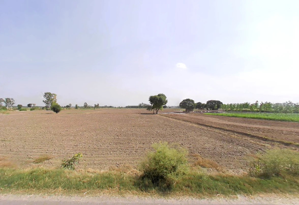 Barsat, Haryana 132114, India