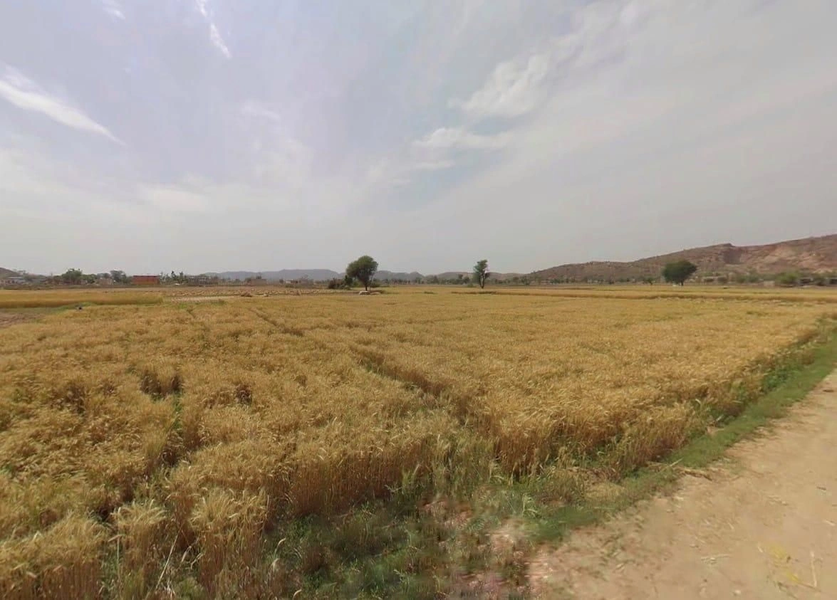 QM9R+FWF, Ismalpur, Rajasthan 301404, India