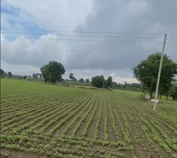 VR74+RJ Shankarpur, Rewa, Madhya Pradesh, India
