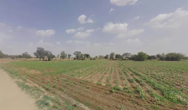 5 Sd, Rajasthan, India preview 2