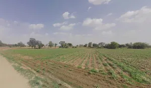 5 Sd, Rajasthan, India preview 2