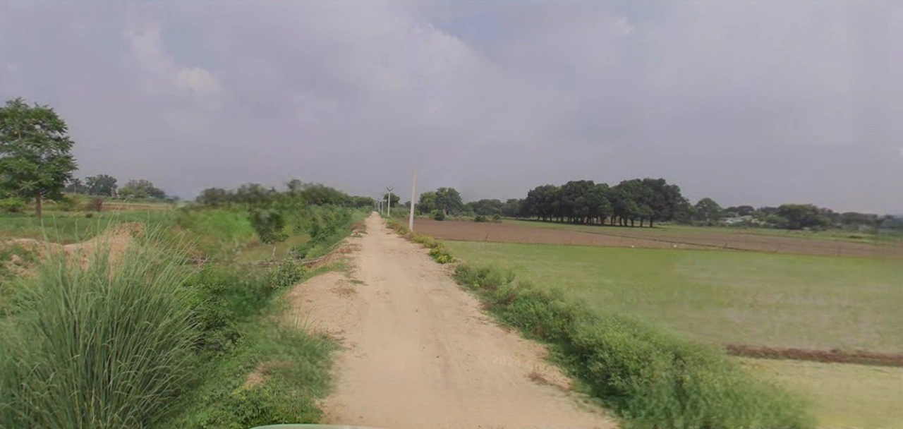 Jhajjar, Haryana 124103, India