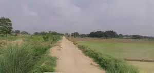 Jhajjar, Haryana 124103, India preview 2