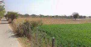 Jaipur Rural, Rajasthan preview 2