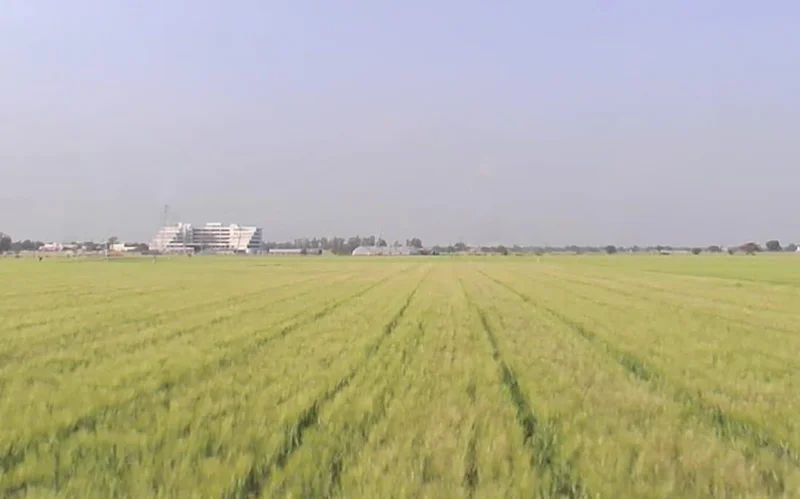 WV95+876, Tarana, Madhya Pradesh 456665, India preview 3