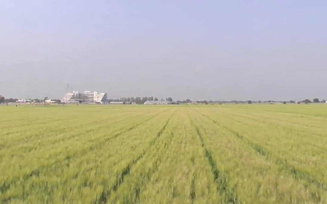 WV95+876, Tarana, Madhya Pradesh 456665, India