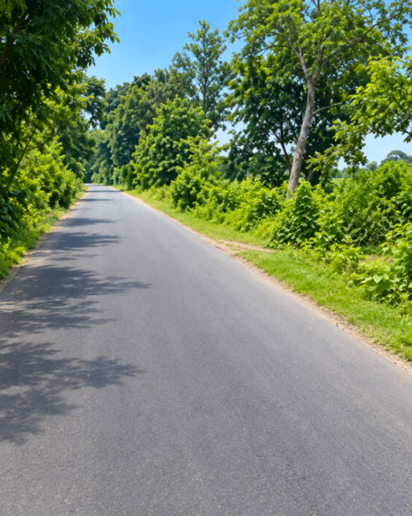 Baitalpur, Deoria, Uttar Pradesh 274201, India