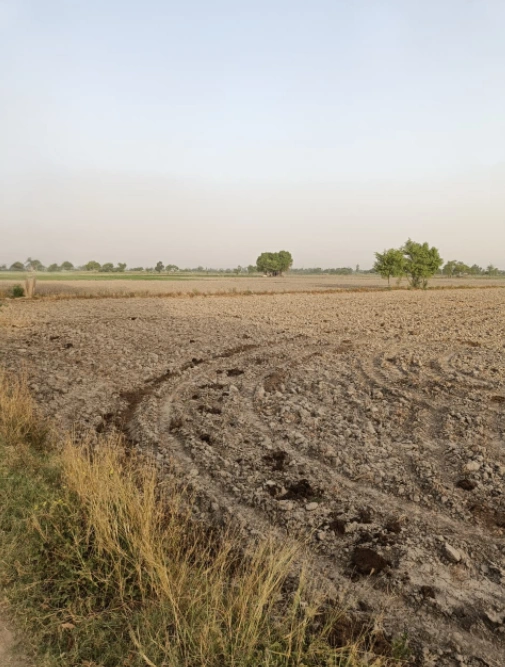 Nurpur Bedi, Punjab 140117, India preview 3