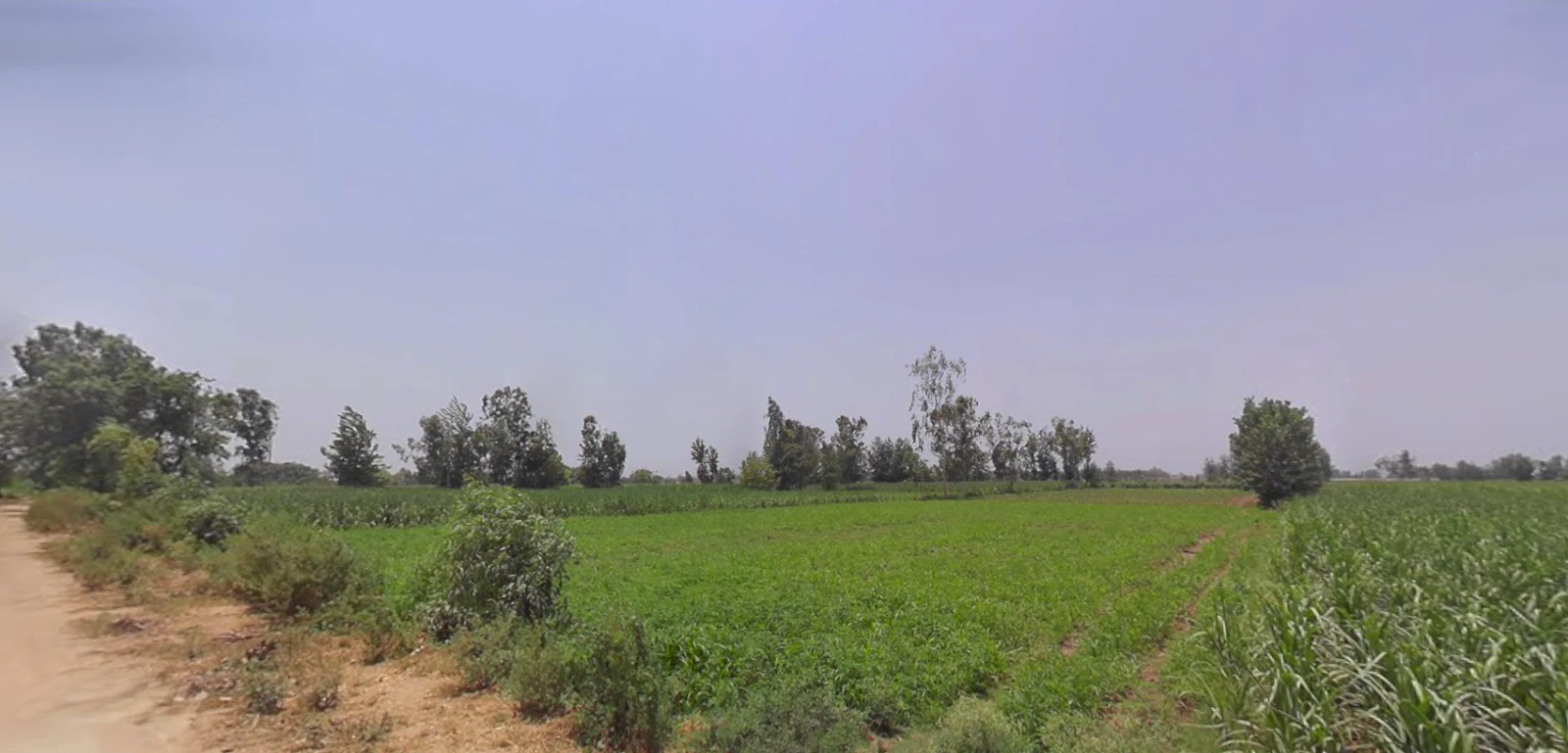 Bilsanda, Uttar Pradesh 262202, India