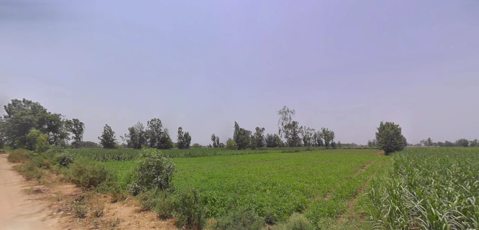 Bilsanda, Uttar Pradesh 262202, India