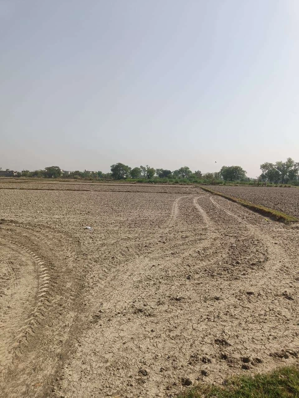 Ajhai Kalan, Uttar Pradesh 281406, India