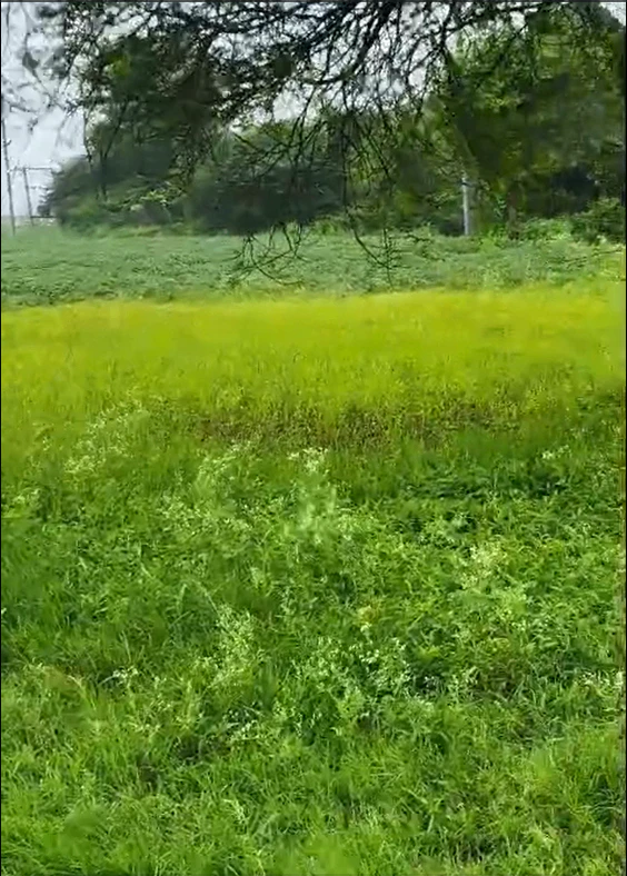 Chandwar, Umaria, Madhya Pradesh, India