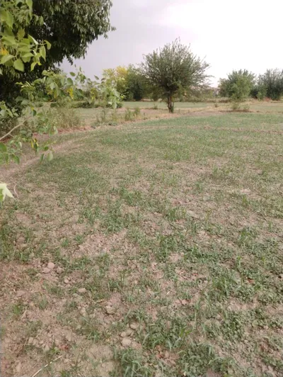 Sector 4, Pataudi, Chhawan, Haryana 122503, India preview 3