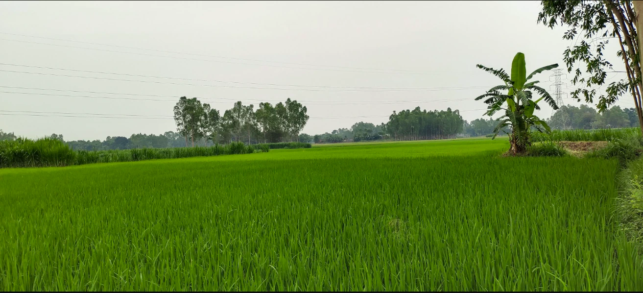 Khurja, Bulandshahr, Uttar Pradesh 203131, India