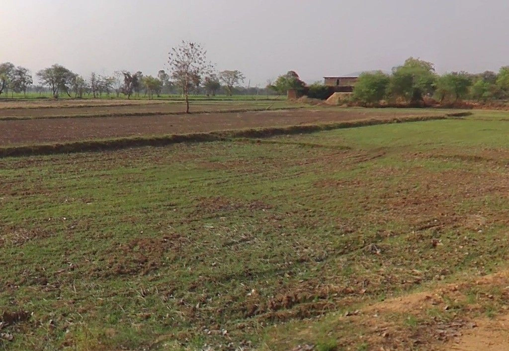 Dewakar, Chhattisgarh 495224, India preview 3