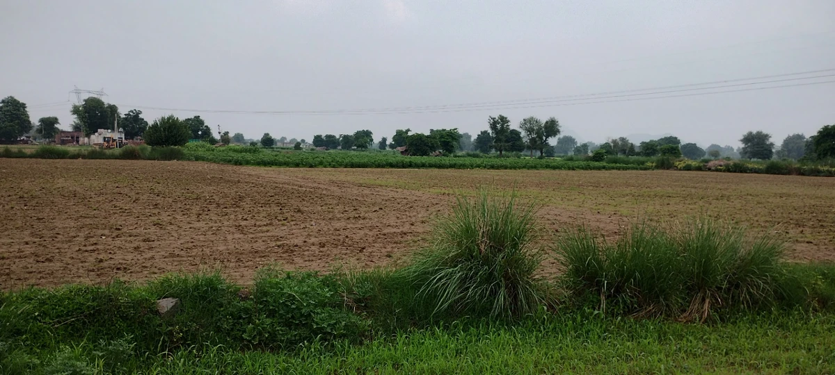 Ronpur, Rajasthan, India