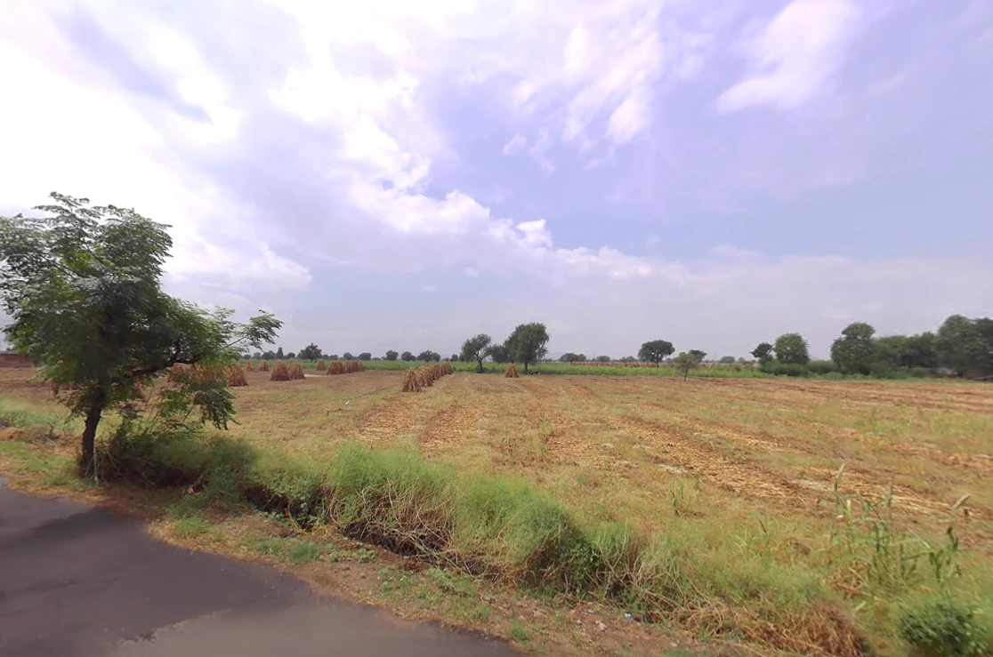 Jant, Haryana, India