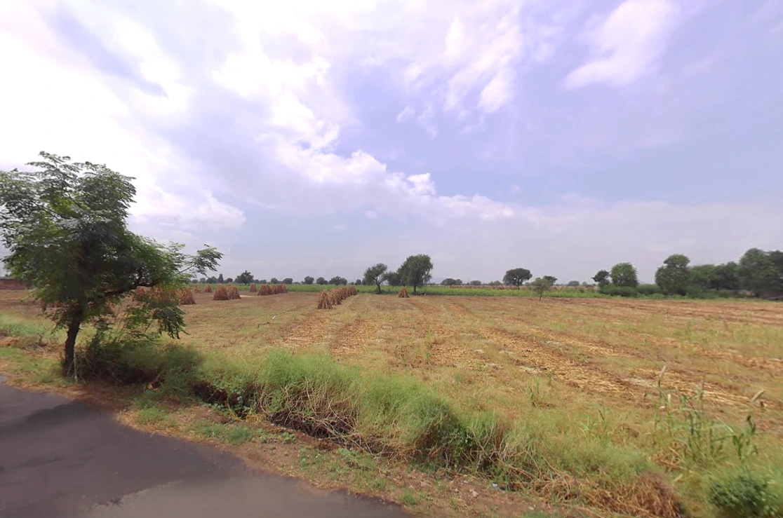 Jant, Haryana, India