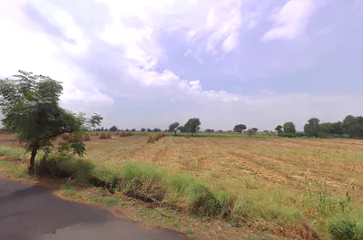 Jant, Haryana, India preview 3