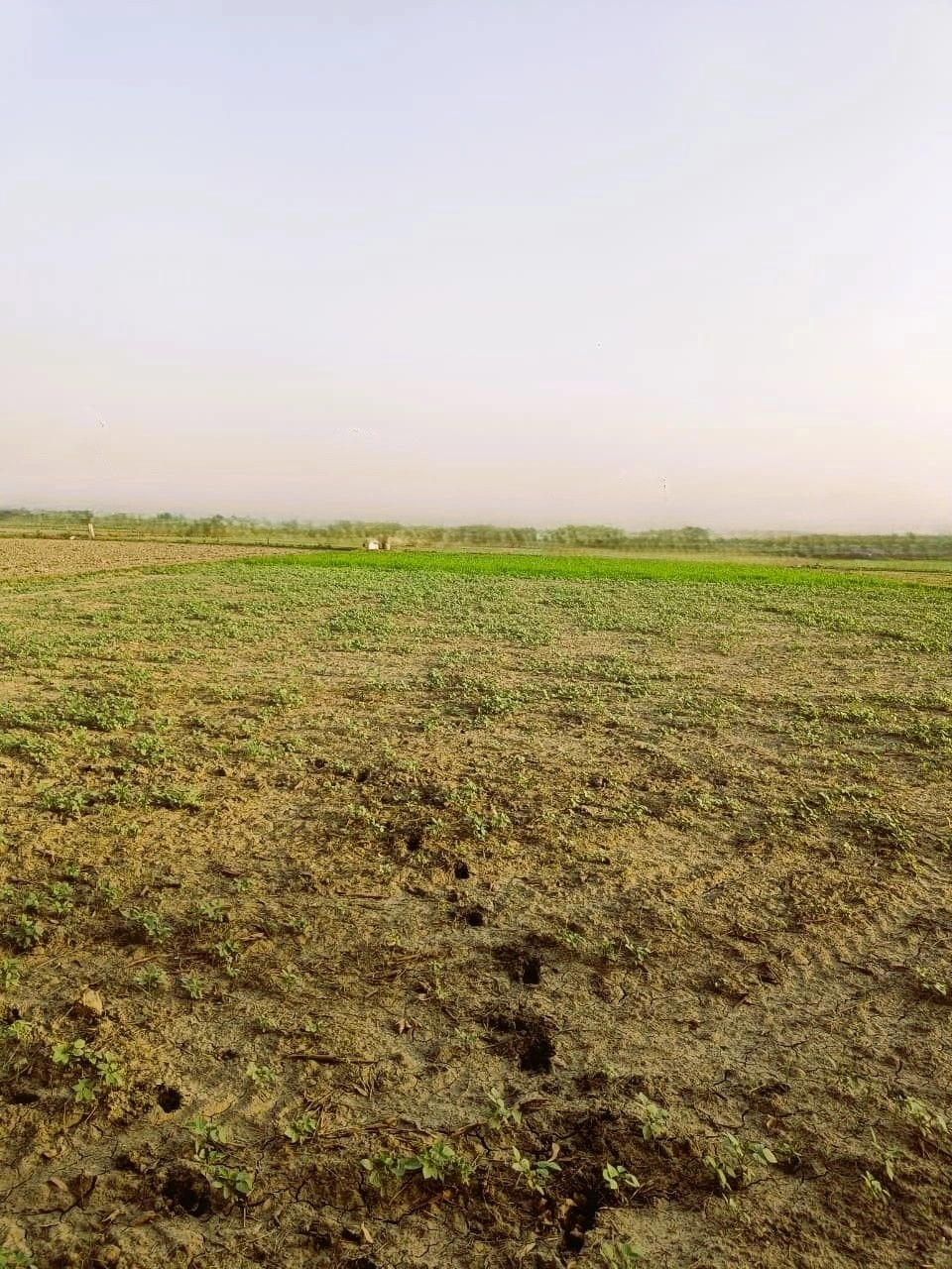 XGJ2+P2C, Bassi Naaga, Rajasthan 303124, India