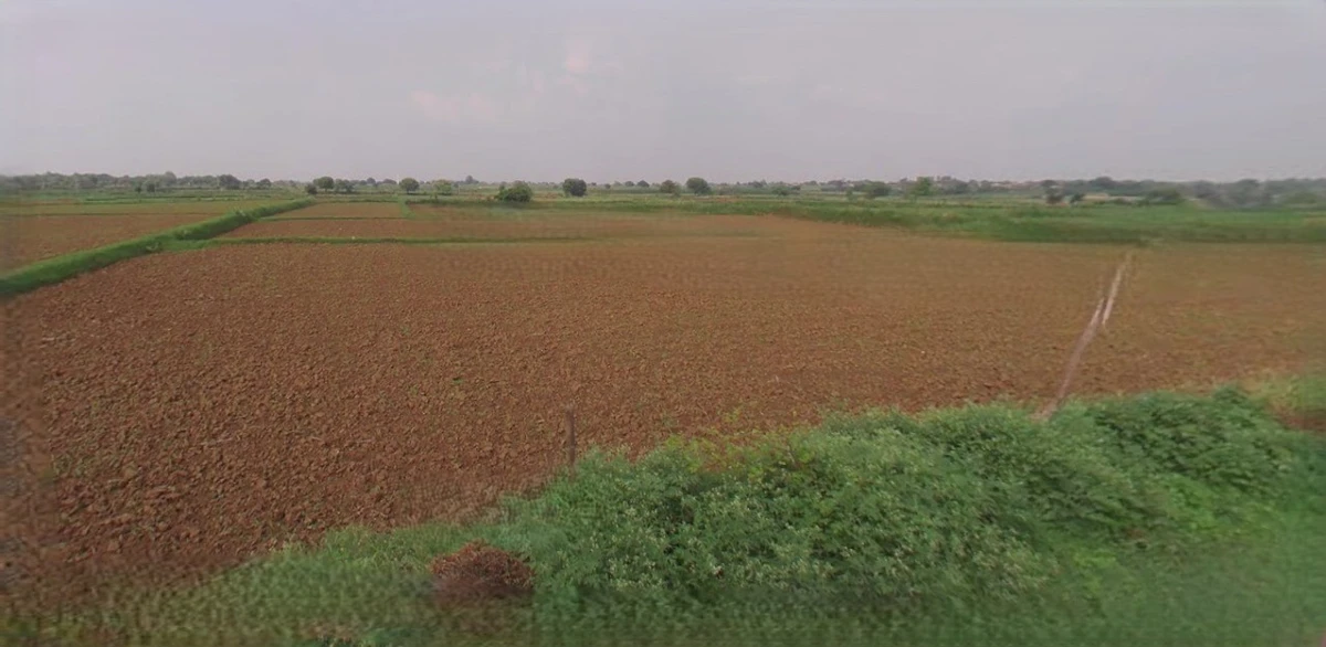 Sri Ganganagar, Rajasthan, India
