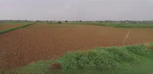 Sri Ganganagar, Rajasthan, India preview 3